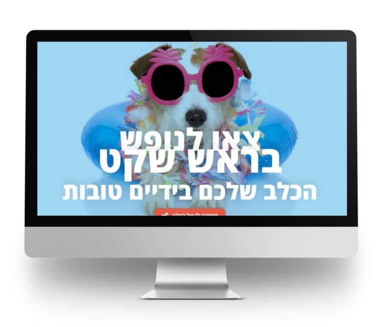 דפנה דלמדה סטודיו לבניית אתרים ומיתוג עסקי