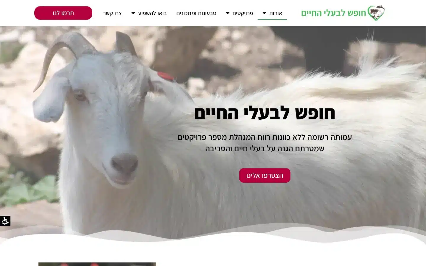 ddhm freedom4animals