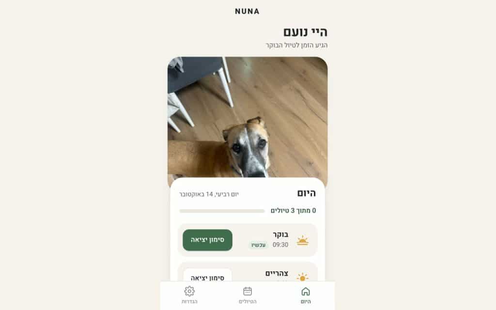 ddwd ai nuna